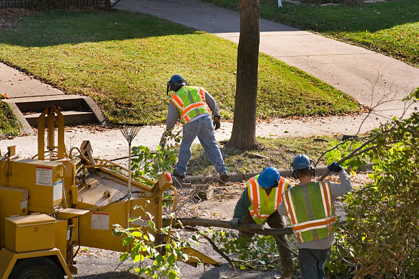 Best Utility Line Clearance  in Coburg, OR